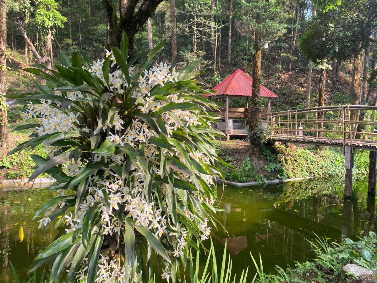Bloomfield Farmhouse And Eco-Resort Darjeeling  Eksteriør bilde
