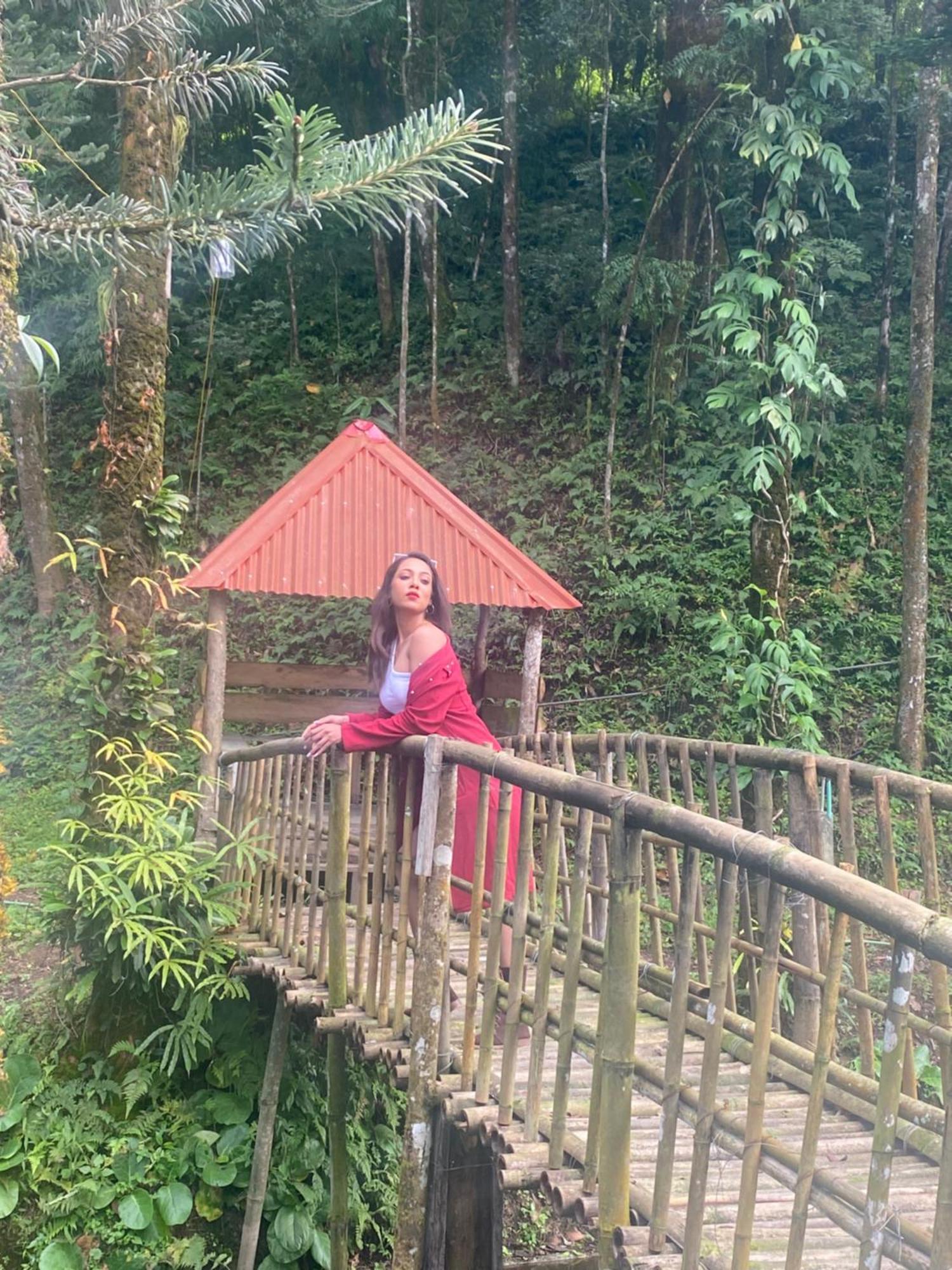 Bloomfield Farmhouse And Eco-Resort Darjeeling  Eksteriør bilde